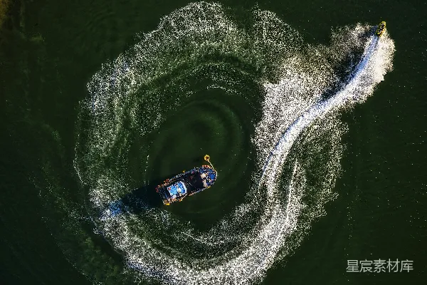 高清摄影 水中游动的鲨鱼