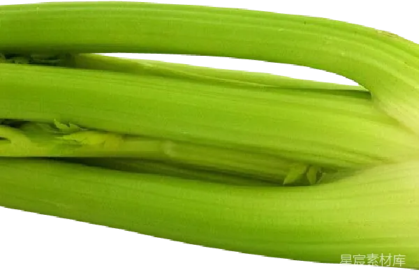 元素素材 Celery