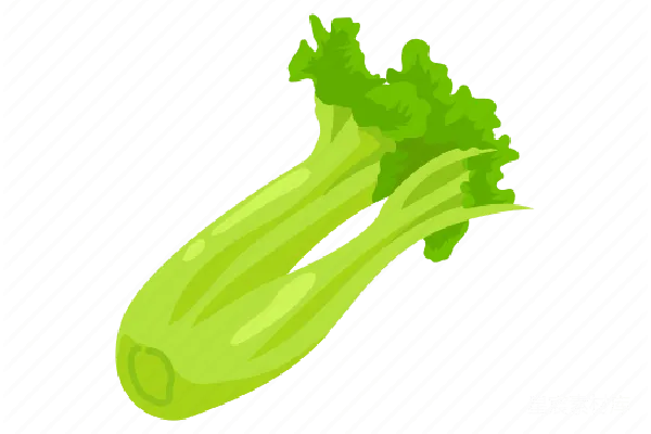 元素素材 Celery