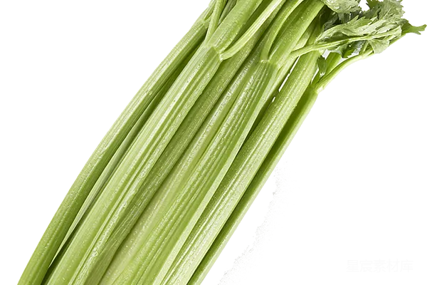 元素素材 Celery