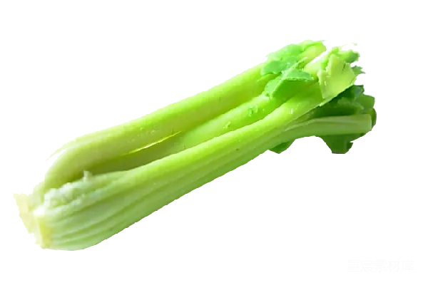元素素材 PNG