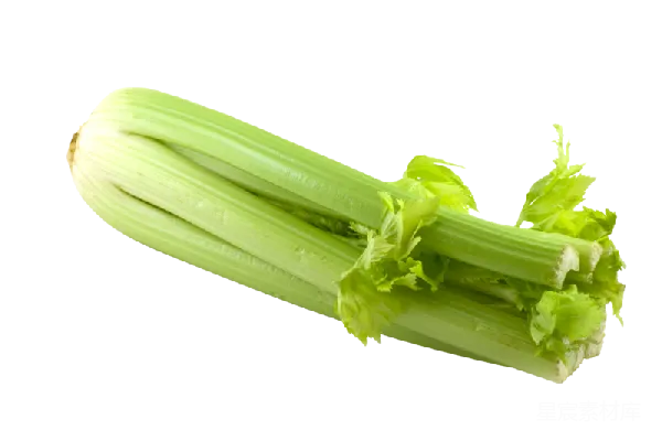 元素素材 Celery
