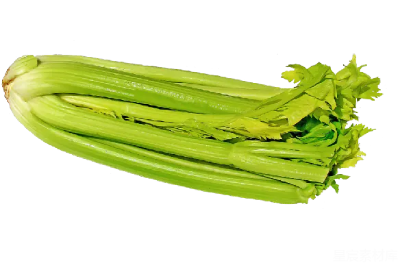 元素素材 Celery