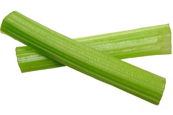 元素素材 Celery