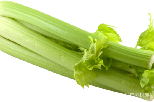 元素素材 Celery