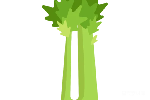 元素素材 Celery