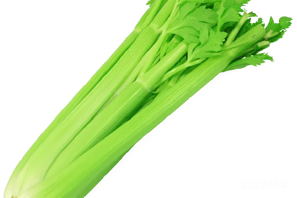 元素素材 Celery