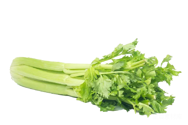 元素素材 Celery