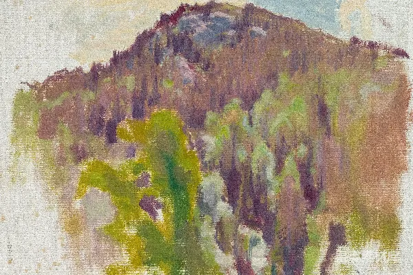 高清摄影 印象派画作中的林间山景。