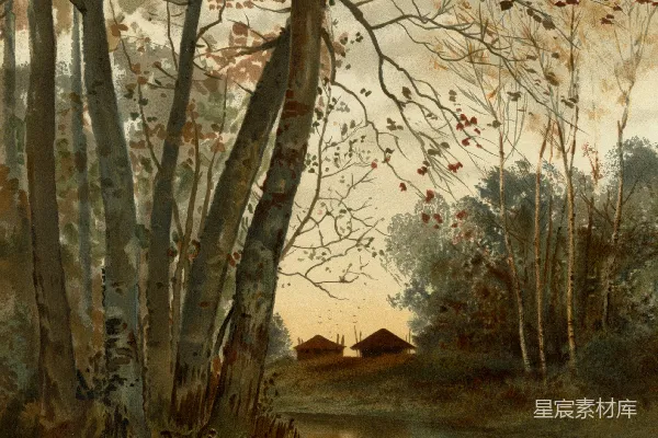 高清摄影 一片树林中的风景画，有湖