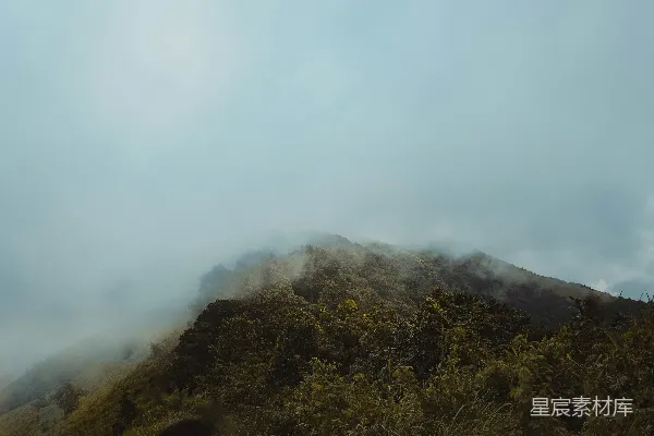 高清摄影 山中云雾缭绕，树影朦胧的晴朗日子