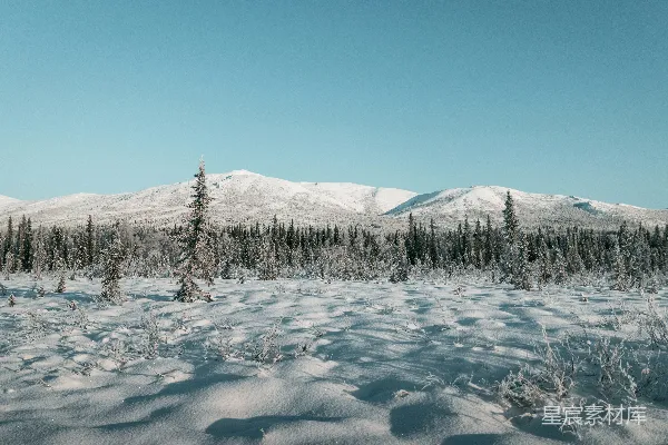 高清摄影 白天树木和山上的雪覆盖着地面