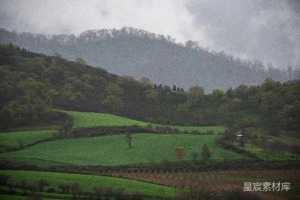 高清摄影 一片繁茂的绿坡覆盖着许多树木