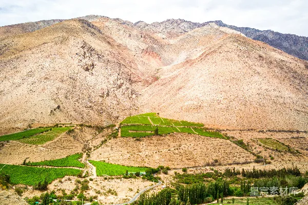 高清摄影 山脚下白天近处的绿草 fields