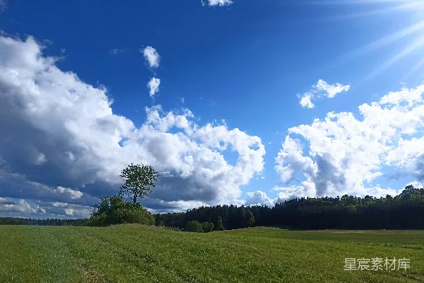 高清摄影 阳光明亮地照耀在一片草地上。