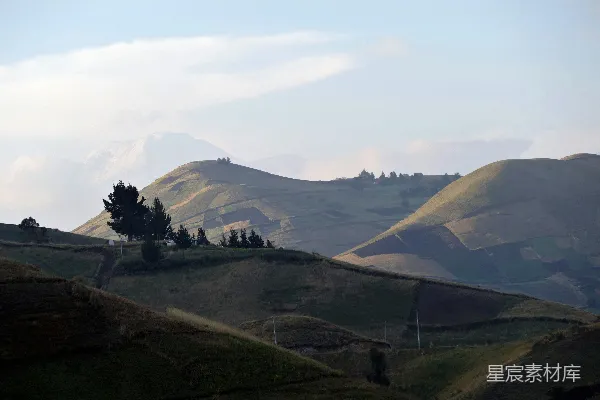高清摄影 山顶有一棵树的山坡