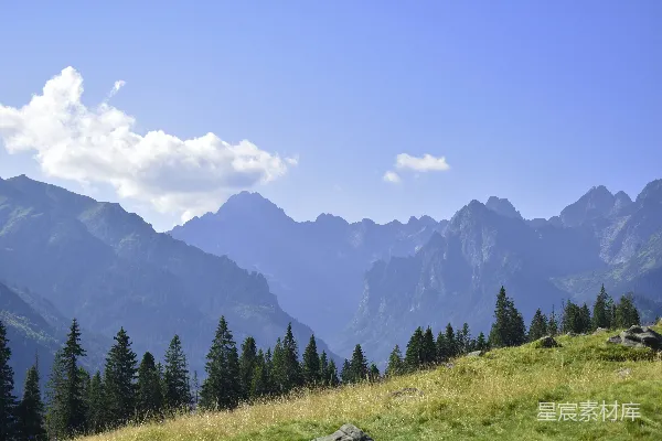 高清摄影 背景中有草丛、树木和山峰的草地区域