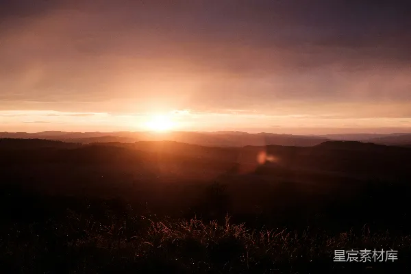 高清摄影 夕阳下草的轮廓
