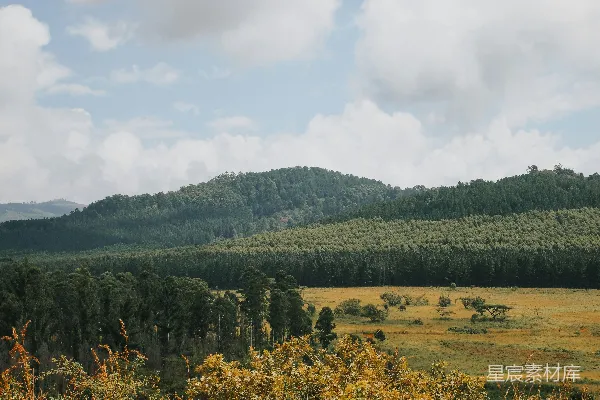 高清摄影 背景有一座山的草地场