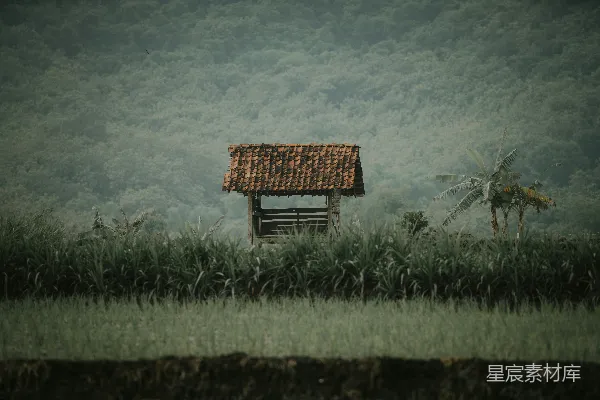 高清摄影 田野中的一间小屋，背景是树木。