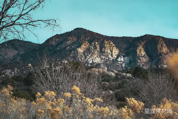 高清摄影 前景中有一座山，远处有树木和灌木的景象。