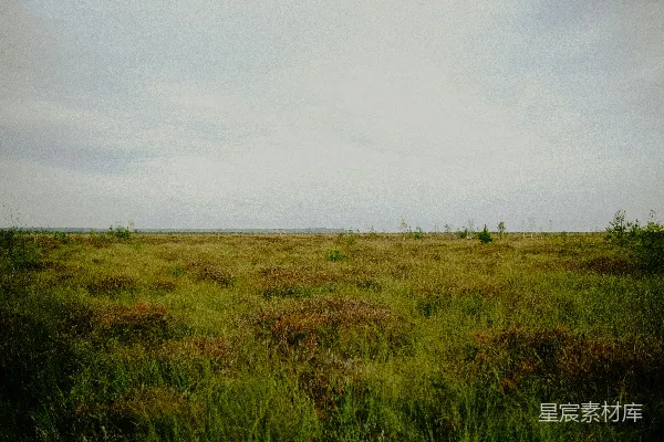 高清摄影 一片草地在云层遮盖下的天空下