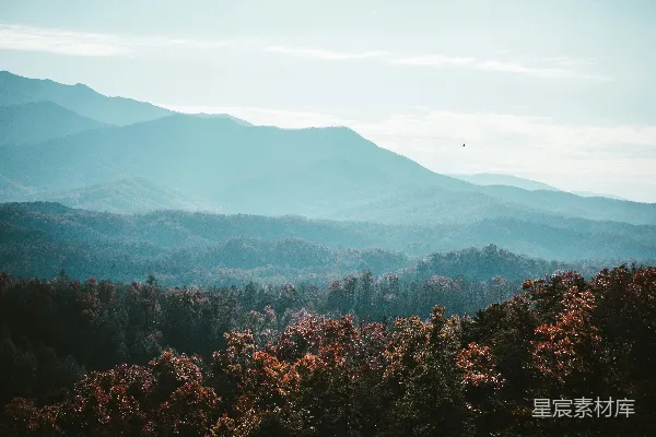 高清摄影 前景中有树木的山脉景色
