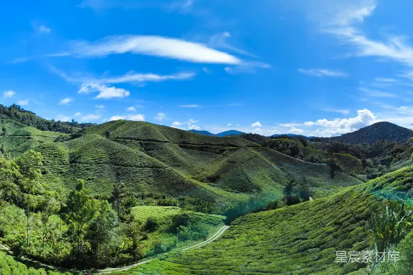 高清摄影 一幅绿意盎然山谷的美景