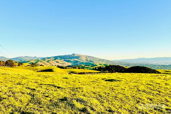高清摄影 背景是山脉的草地田地