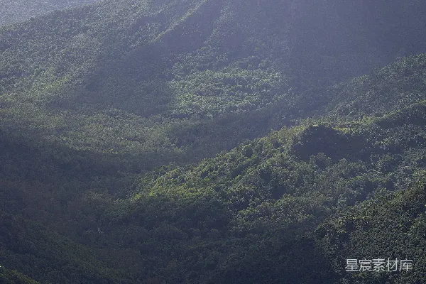 高清摄影 山下有众多树木的大山