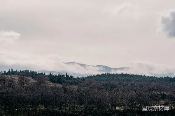 高清摄影 云环绕着山林。