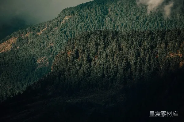 高清摄影 一片被许多树木覆盖的山峦下着阴云的天空