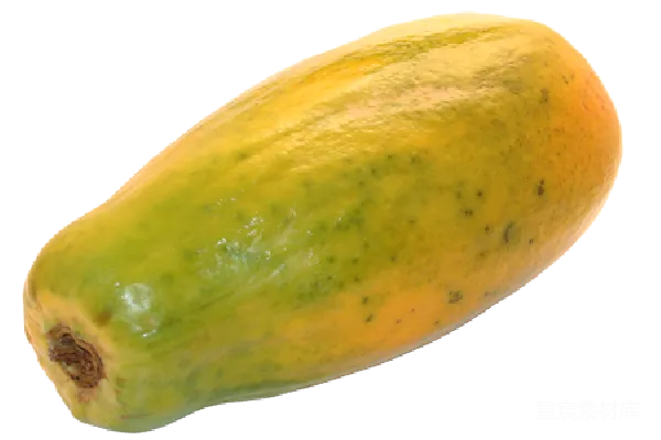 元素素材 番树