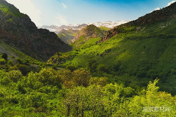 高清摄影 一片葱郁的山谷被山峦环绕。