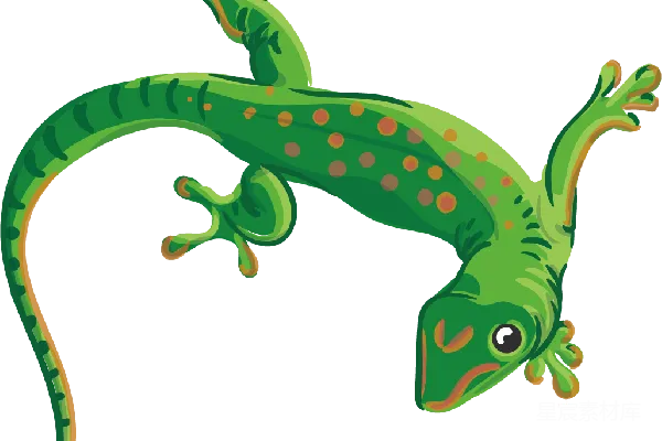 元素素材 Gecko