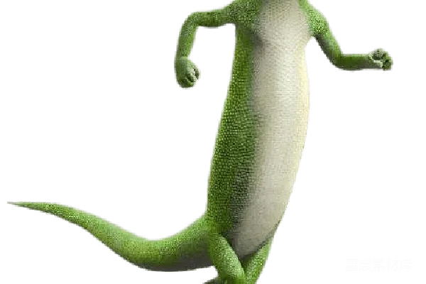 元素素材 Gecko