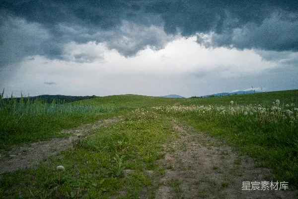 高清摄影 绿色草地场