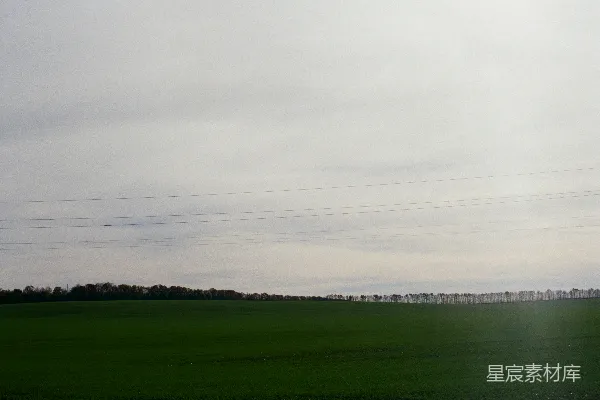 高清摄影 绿草地上有树木，天空阴沉。