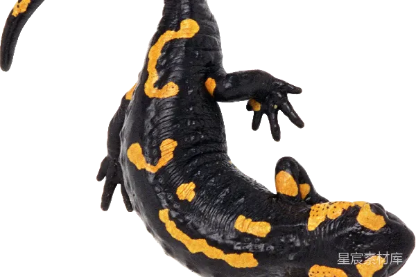 元素素材 新特诺（Newt）