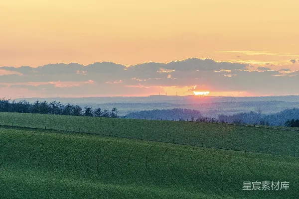 高清摄影 夕阳下的绿草地