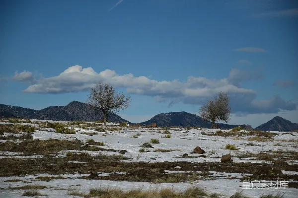 高清摄影 背景有树林和山丘的雪地场面