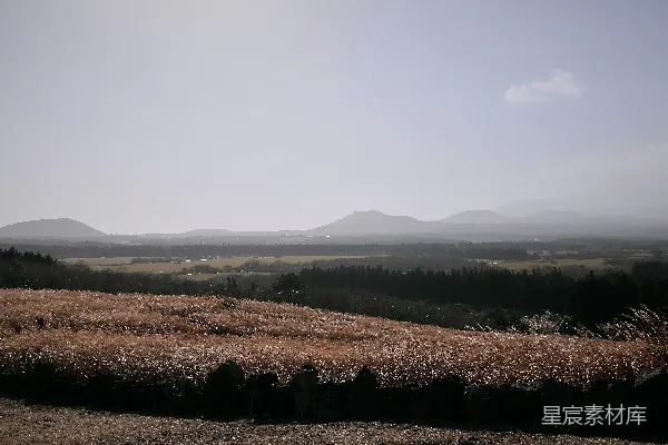 高清摄影 金色的高草田野，远处是山峦。
