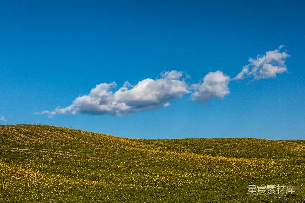 高清摄影 绿草.fields