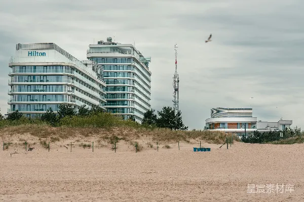 高清摄影 海边一栋建筑旁边有一只鸟飞过