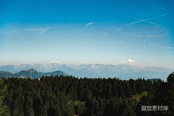 高清摄影 背景中有山的森林