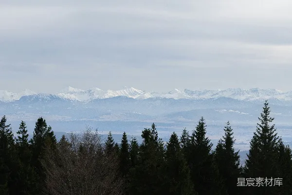 高清摄影 远处可见白雪皑皑的山峰，背后是郁郁葱葱的绿树。