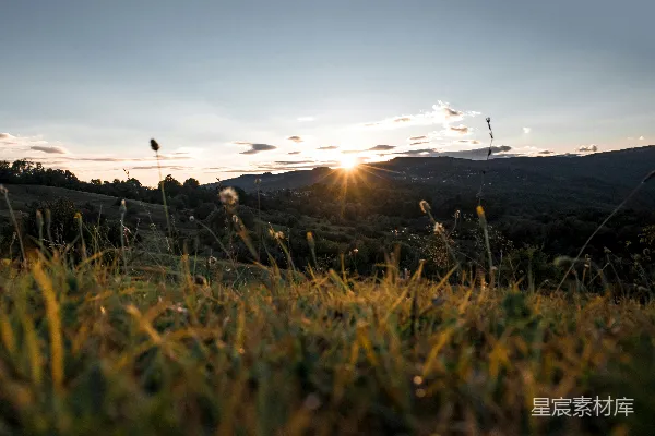 高清摄影 晨 sunrise 阳光下的绿草 fields 草场