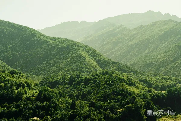 高清摄影 前景中的一片山峦景色