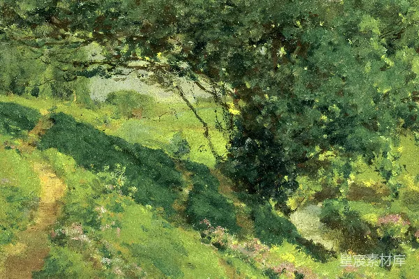 高清摄影 一条阳光斑驳的小径蜿蜒穿过一片翠绿的 landscapes。