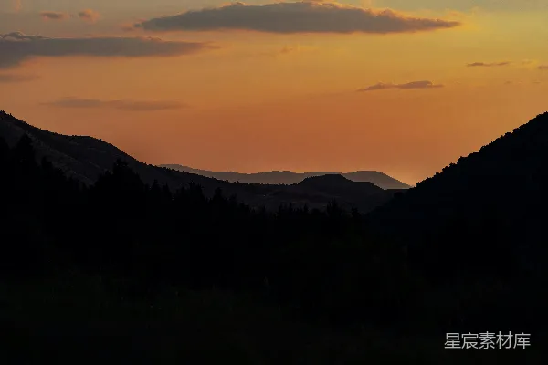 高清摄影 夕阳为山间树木披上温暖的光辉。
